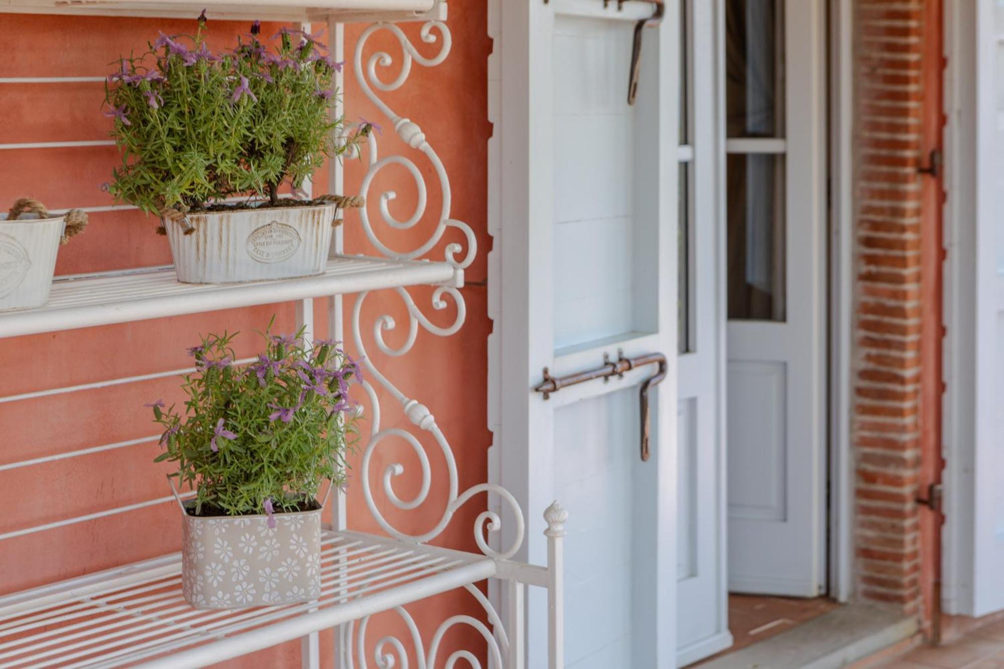 Villa Sii Felice Buti Ngoại thất bức ảnh