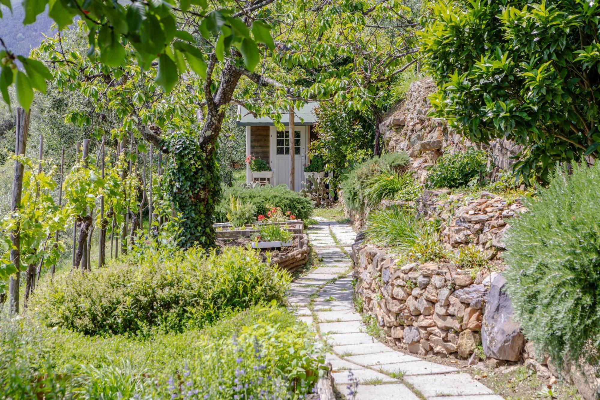 Villa Sii Felice Buti Ngoại thất bức ảnh